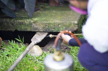 Como o MIP é aplicado em diferentes setores?