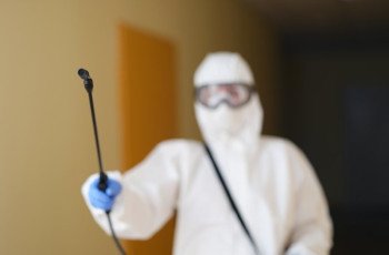 Desratização: o que é, quais os tipos e como é feita?