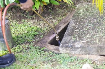 Quais os diferentes métodos de desinsetização e quando são utilizados?