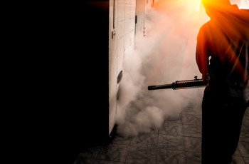 O que é sanitização e por que é importante?