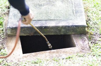 Como implementar o MIP em sua propriedade ou negócio?