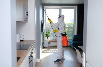 Como a desinsetização pode prevenir doenças transmitidas por insetos