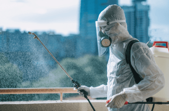 Como identificar uma infestação de pragas?