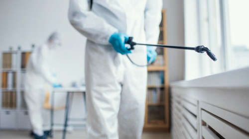 Dedetização em São José do Rio Preto 