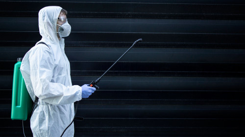 Onde encontrar dedetização em Bauru