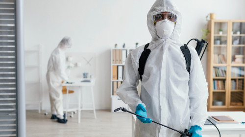 Dedetização em Quirinópolis 