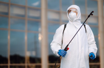 Dedetização funciona mesmo? O que esperar de um serviço profissional